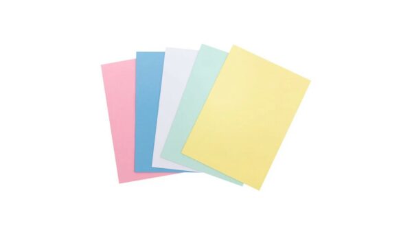 Cartulina Bristol T/Carta 100 hojas