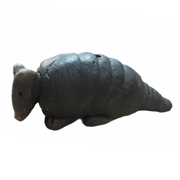 Armadillo