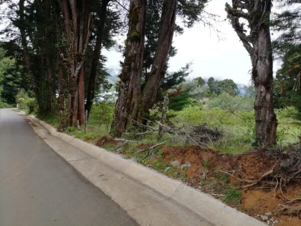 Terrenos en La Trinidad de Copey de Dota  sobre el kilómetro 62 de la Carretera Interamericana Sur - Image 9