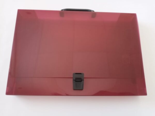 Mini Portafolio Transparente Handle&Buckle