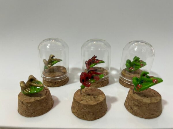 mini cupulas - Image 2