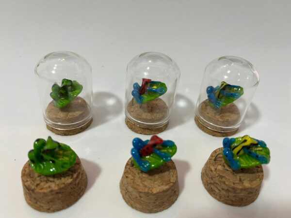 mini cupulas - Image 8