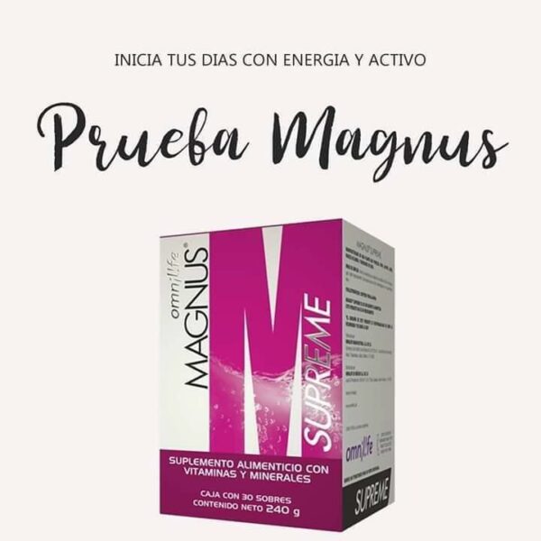 MAGNUS - Image 7