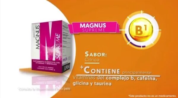MAGNUS - Image 4