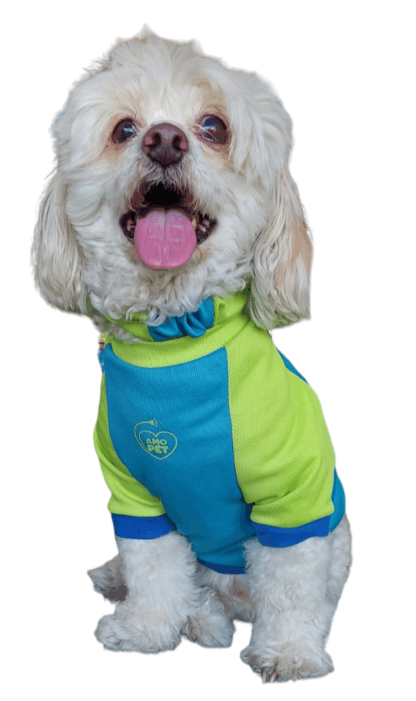 Suéter para perro y gato tela Buzo - Image 4