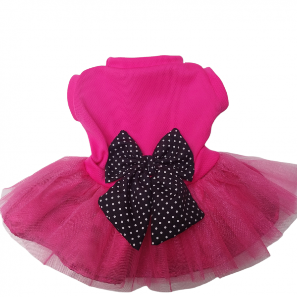 PhotoRoom-20220814_122321