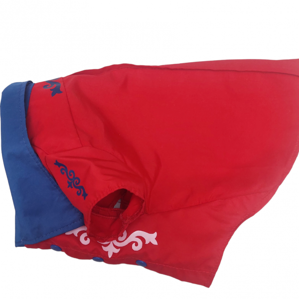 PhotoRoom-20230828_150515