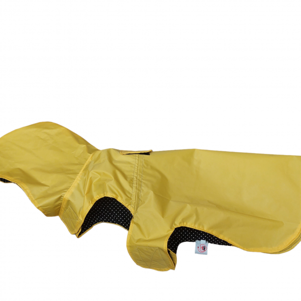 PhotoRoom-20230829_181039