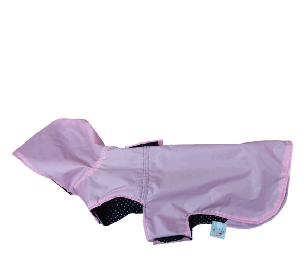 Capas para perro
