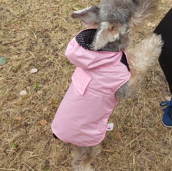 Capas para perro - Image 4