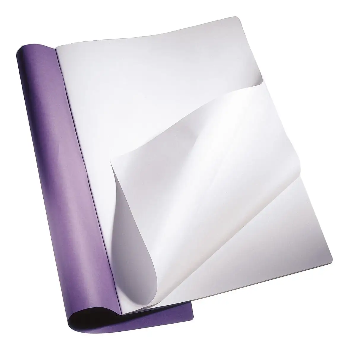 Libros de lecciones principales extra grandes 12.6
