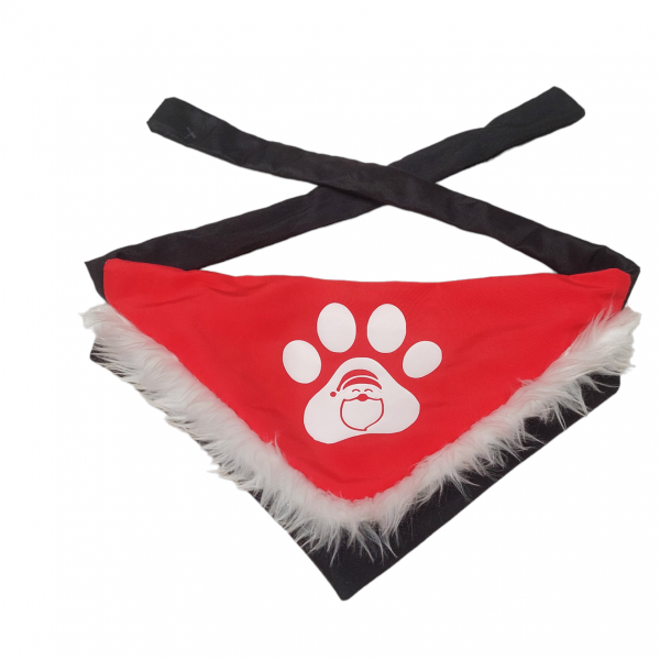 PhotoRoom-20231106_155842