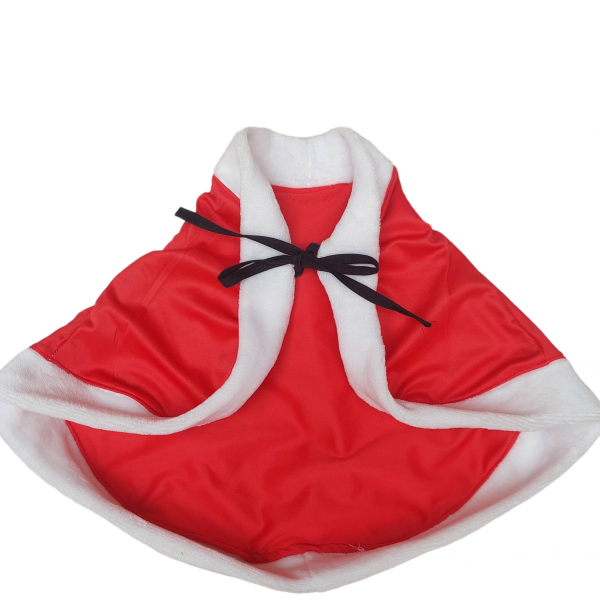 PhotoRoom-20231106_155939