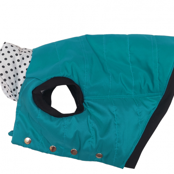 PhotoRoom-20231106_161320