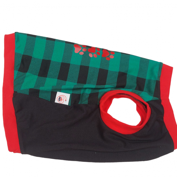 PhotoRoom-20231106_162134